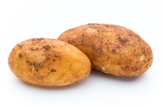 A bio russet potato isolated white background.