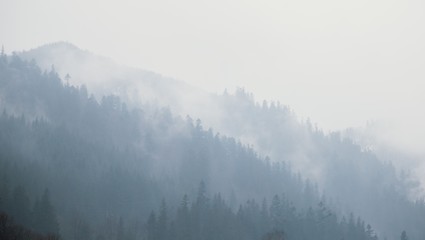 Foggy  village Bohdan in the Carpathians