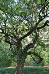 National Historical and Archaeological Reserve 