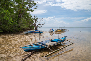 Naklejka na ściany i meble Seashore at Bohol island with low tide and old fisherman boats front view. Philippines.