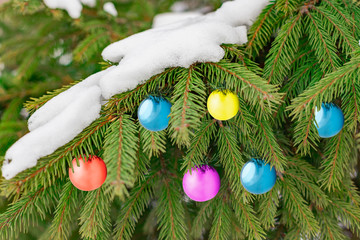 Christmas Background with blue glass glossy decoration balls and snow on beautiful green pine tree brunch closeup, selective focus, Copy space.