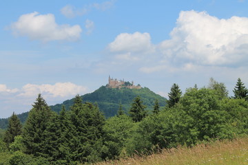 Fototapeta na wymiar Schloss Hohenzollern