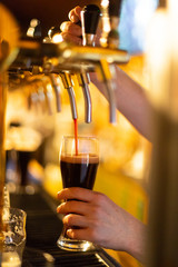 Dark beer is poured into a glass of beer tap
