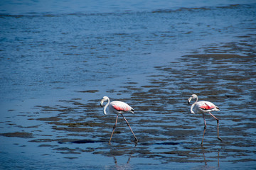 2018-12 Namibia
