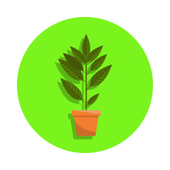 Spring colorful flowers in pot in green badge icon