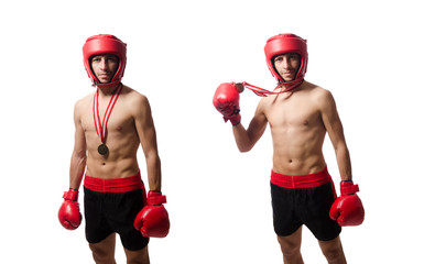 Funny boxer isolated on the white