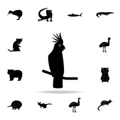 Cockatoo icon. Detailed set of Australian animal silhouette icons. Premium graphic design. One of the collection icons for websites, web design, mobile app