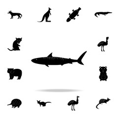 Tiger shark icon. Detailed set of Australian animal silhouette icons. Premium graphic design. One of the collection icons for websites, web design, mobile app