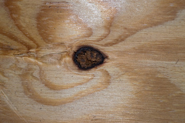 A knot and wood grain in a large piece of wood.