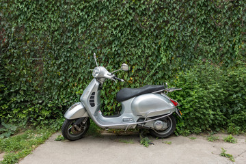 urban city scooter parked near a vine covered wall, 2018-11-20 , New York, Manhattan, USA