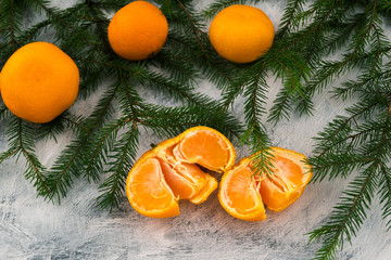 Fototapeta na wymiar Orange tangerines on the green branches of spruce. Light background. New Year's plot. Template for Christmas greetings.