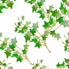 Floral leaves with a green branch of ivy watercolor in hand-drawn sketch style on a white background.