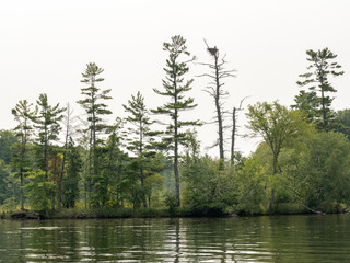 Obraz premium An eagles nest high above the lake