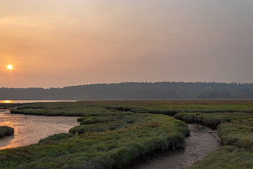 summer sun over wetlands made hazy by nearby wildfires