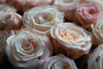 background. defocusing. bouquet of pink / white roses. mothers Day. Valentine's Day. March 8. Birthday. Anniversary.