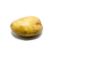 potato isolated on white background
