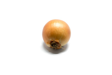 onion isolated on white background