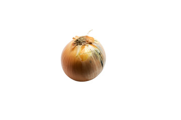 onion isolated on white background