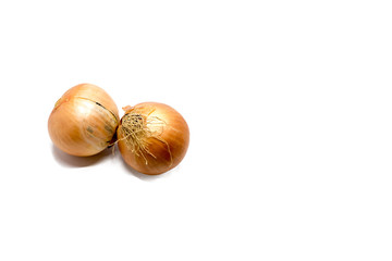 onions on white background