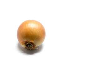 onion on white background