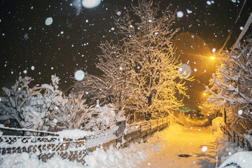 road in winter night with yellow light. it's snowing