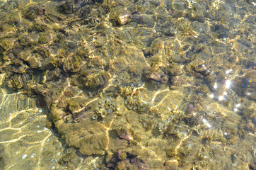 Fototapeta na wymiar the beach with stones