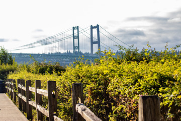 view of tacoma narrows behind green bushes and wooden fence