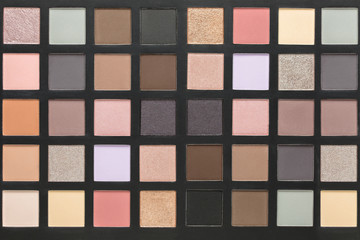 Big eyeshadow palette.