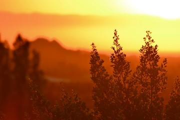 Obraz premium Sardinia Sunrise