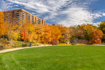 Open grass field with fall trees and apartments