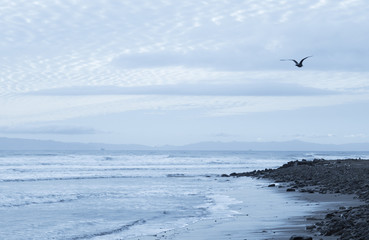 Calm overcast day at the beach