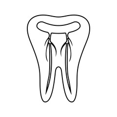 a tooth with nerves icon. Element of cyber security for mobile concept and web apps icon. Thin line icon for website design and development, app development