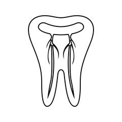 a tooth with nerves icon. Element of cyber security for mobile concept and web apps icon. Thin line icon for website design and development, app development