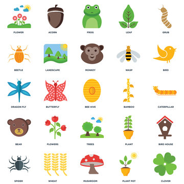 Set Of 25 icons such as Clover, Plant pot, Mushroom, Wheat, Spider, Bird, Bamboo, Trees, Bear, Beetle, Frog, Acorn icon