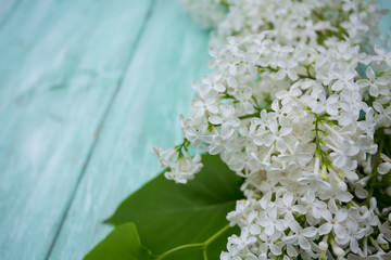 liac on turquoise wooden surface