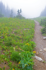 Fog lies over the landscape in Glacier National Park.