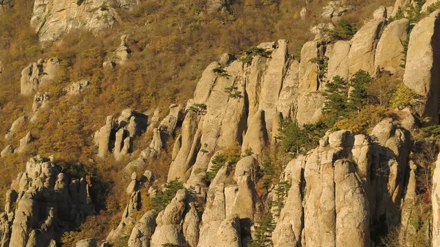 Aerial for slope of mountain in late autumn with withered grass and green pine trees. Shot. Autumn landscape of bizzare form rocks with bright autumn colors trees and grass.