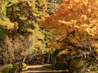 須賀川の紅葉16