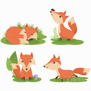 Set of cute fox cartoon character illustration