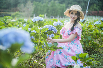 Beautiful girl with a field of hydrangea flowers.