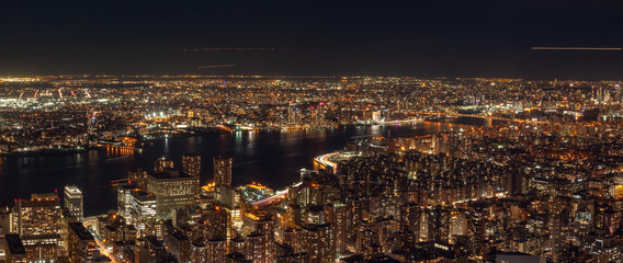 Fototapeta premium Aerial View of the Williamsburg Bridge From the Empire State Building Rooftop