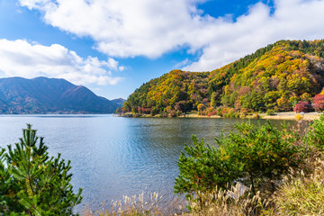 Fototapeta na wymiar Beautiful landscape around lake kawaguchiko in Yamanashi Japan