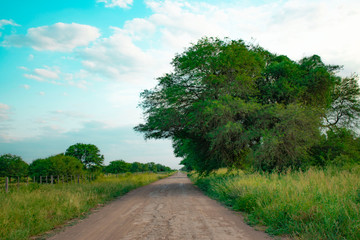 carretera, cielo, paisaje, campa, naturaleza, azul, césped, campesina, verde, verano, dehesa,...