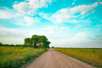 carretera, cielo, paisaje, campa, naturaleza, azul, césped, campesina, verde, verano, dehesa,...
