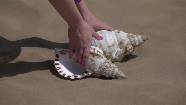 Taking shell from the sand in slow motion 250fps