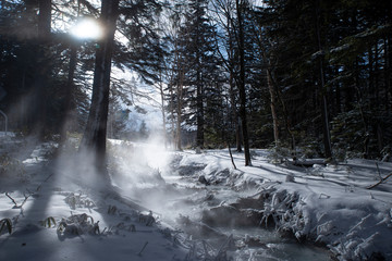 Naklejka premium 温泉が流れる川