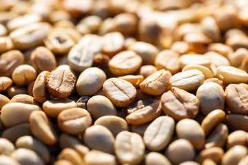close up Dried Coffee Beans in sunny day before roasted Background