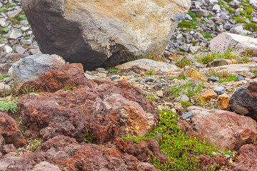 harsh volcanic stone in field of stones left from glacial melt