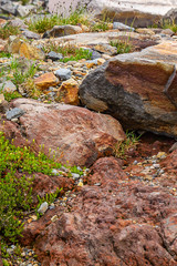 vertical harsh volcanic stone in field of stones left from glacial melt