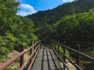 Fototapeta na wymiar The small iron bridge in Seoraksan National Park. South Korea